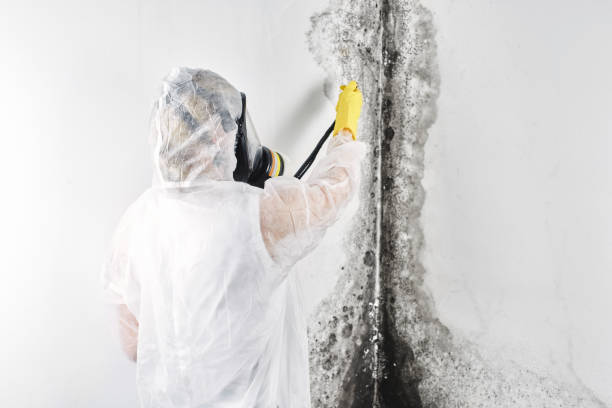 Best Sewage cleanup and water damage restoration  in USA